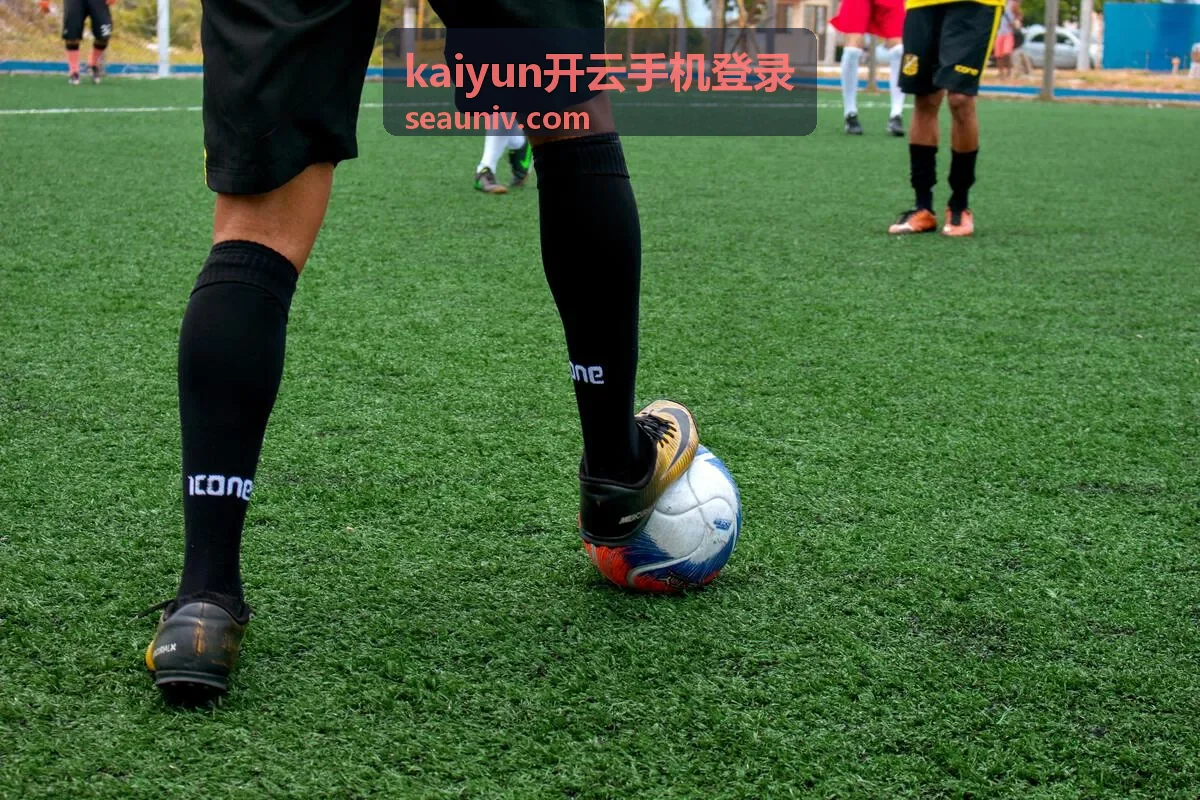 kaiyun开云手机登录安全设置界面示意