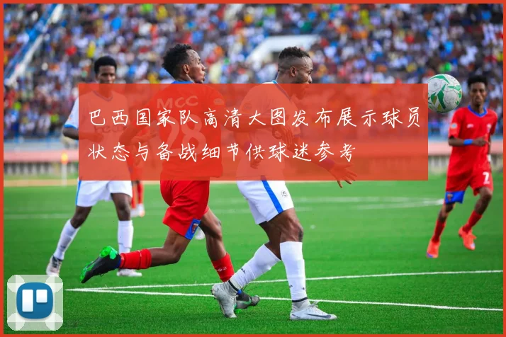 巴西国家队高清大图发布展示球员状态与备战细节供球迷参考