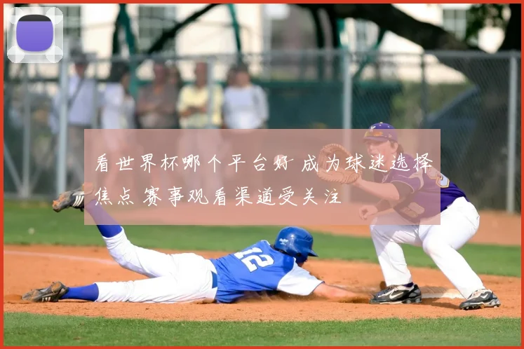 看世界杯哪个平台好 成为球迷选择焦点 赛事观看渠道受关注
