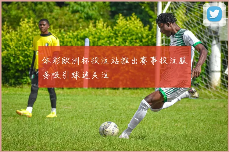 体彩欧洲杯投注站推出赛事投注服务吸引球迷关注