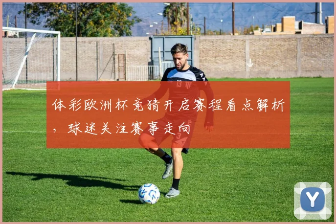 体彩欧洲杯竞猜开启赛程看点解析,球迷关注赛事走向
