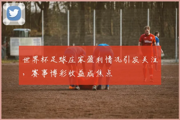 世界杯足球庄家盈利情况引发关注，赛事博彩收益成焦点