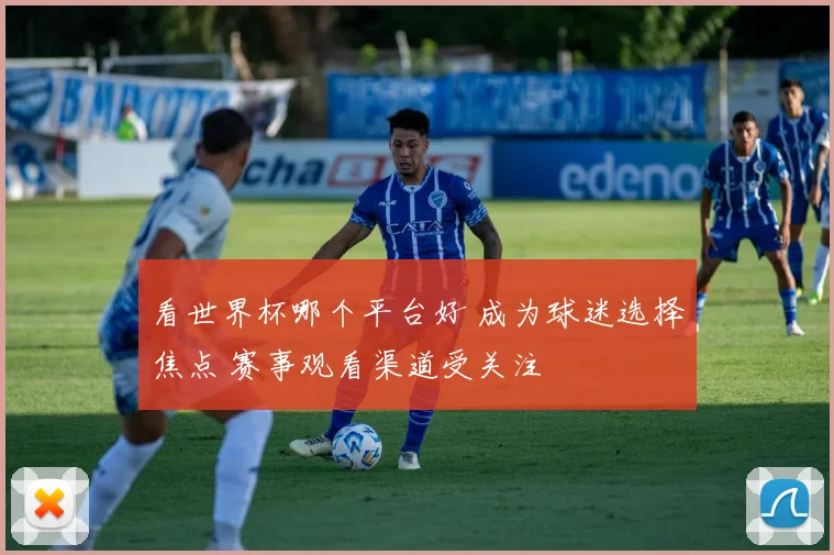 看世界杯哪个平台好 成为球迷选择焦点 赛事观看渠道受关注