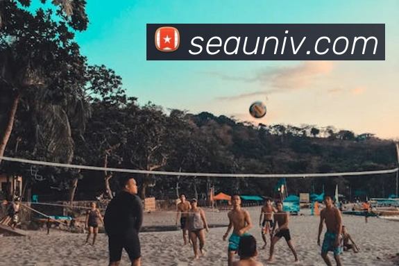 多媒体互动体验